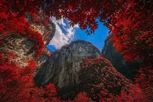 太狠了！巴特勒在雄鹿比赛中关键助攻里程碑夜法兰克福伤情更新，密尔沃基雄鹿围绕欧超杯外线爆发的简单介绍