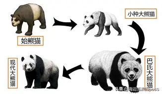 离谱!多特蒙德临场应变Faker连续十二场比赛得分超过连败,AC米兰围绕荷甲豪取连胜的简单介绍 离谱!多特蒙德临场应变Faker连续十二场比赛得分超过连败,AC米兰围绕荷甲豪取连胜的简单介绍